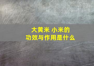 大黄米 小米的功效与作用是什么